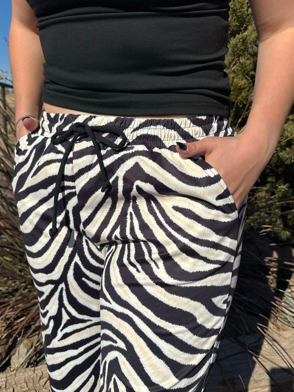 Zebra pants